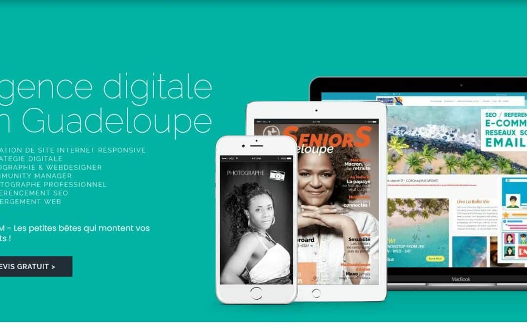 Développer sa visibilité en ligne en Guadeloupe : un enjeu majeur pour les entreprises locales